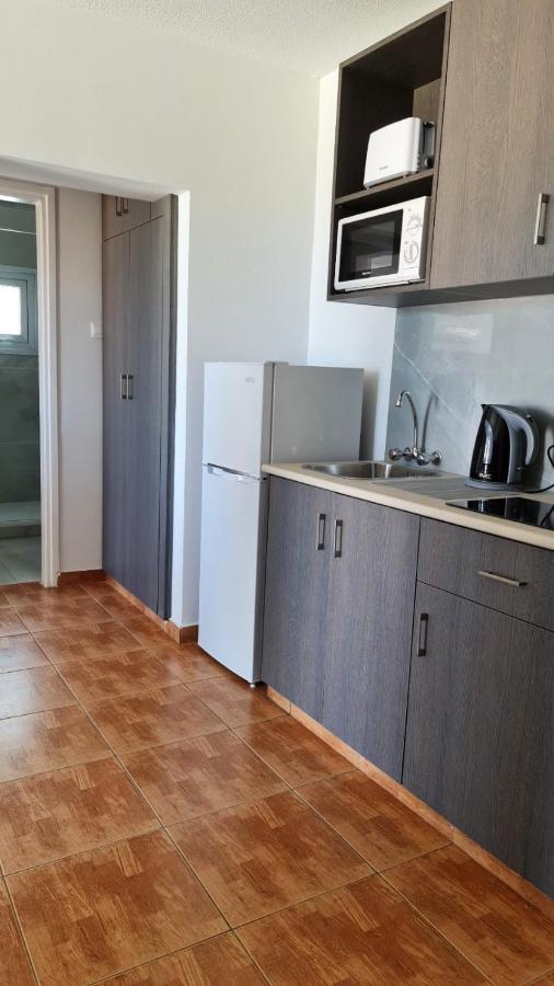 Fotoxenia Luxury Apts パラリムニ エクステリア 写真