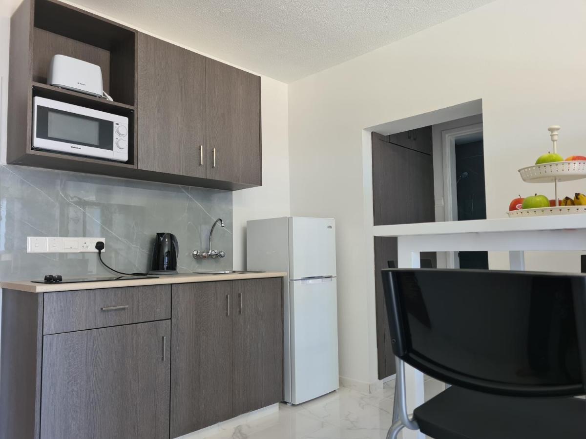 Fotoxenia Luxury Apts パラリムニ エクステリア 写真