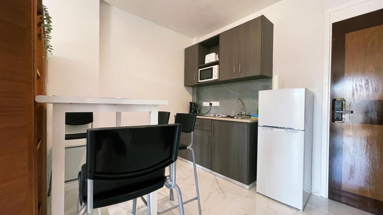 Fotoxenia Luxury Apts パラリムニ エクステリア 写真